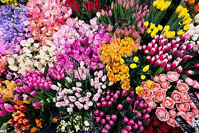 报道称PS5 Pro主机开发时长两年半