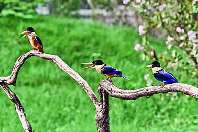 被说“画饼”的韩国版“模拟人生”，真就掏出DEMO开测了？