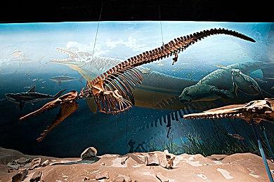 PLAYISM游戏展：《魔炮少女梅加斯菲亚》公布